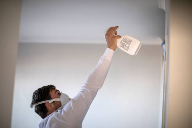 Best Commercial Mold Removal  in Vidalia, GA