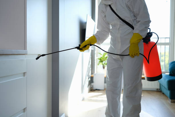 Crawl Space Mold Removal in Vidalia, GA