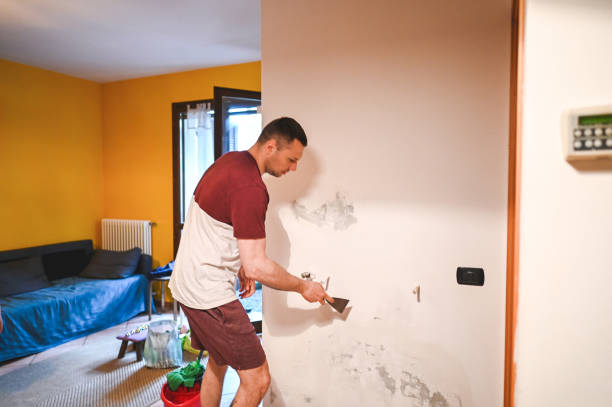 Best Mold Removal Near Me  in Vidalia, GA